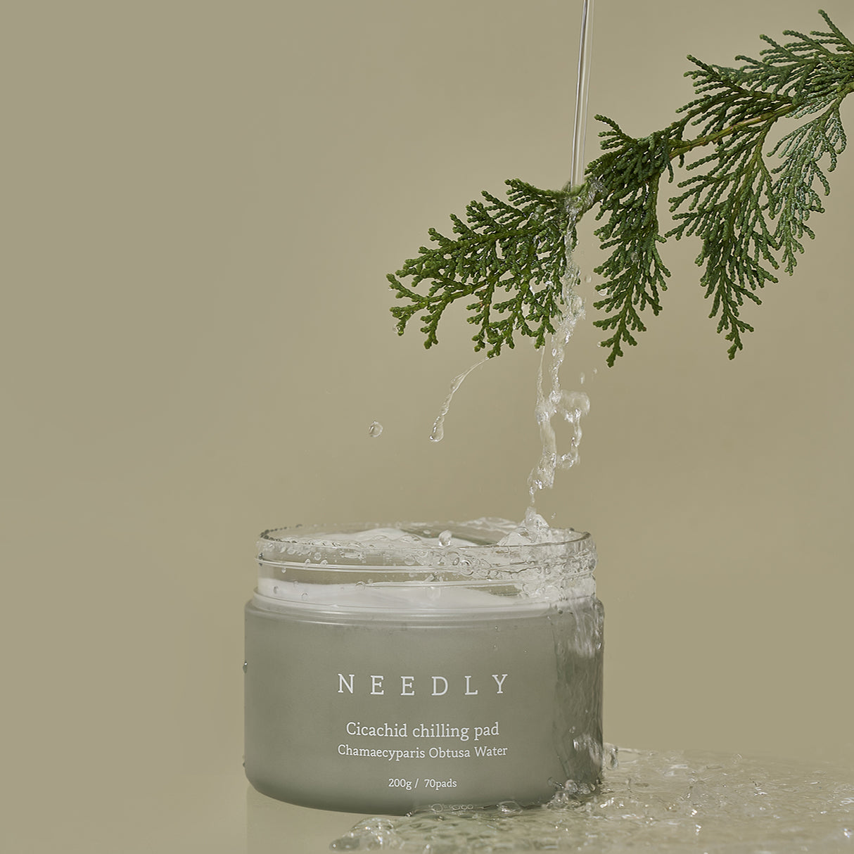 Cicachid Chilling Pad